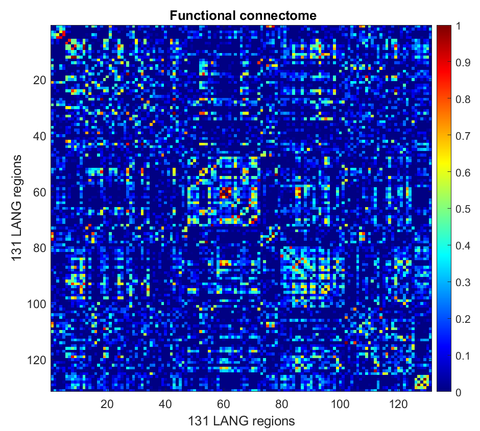 In Matlab: connectome = load(‘resultsROI_Subject001_Condition001.mat’); W = connectome.Z; figure, imagesc(W, [0 1]), xlabel([’ 131 LANG regions ‘]), ylabel(’131 LANG regions’), title([’ Functional connectome ‘]); colormap(jet), colorbar, set(gcf,’color’,‘w’), set(gca,‘fontsize’,14)